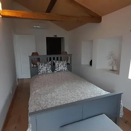 Leonardo Vale de Carneiro