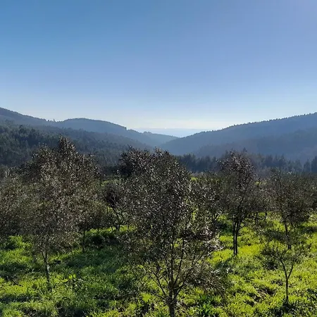 Leonardo Vale de Carneiro