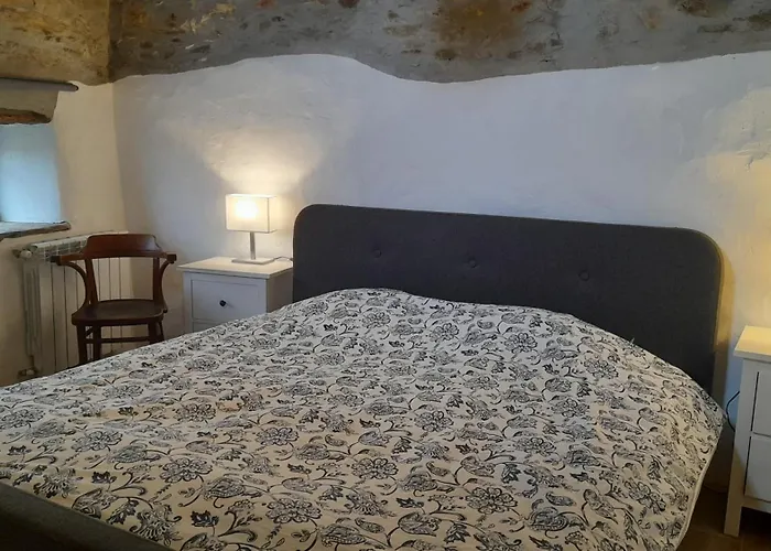 Leonardo Vale de Carneiro