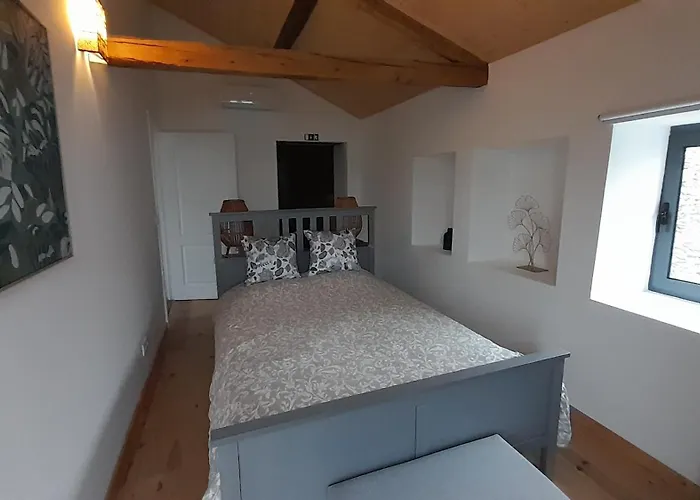 Leonardo Vale de Carneiro