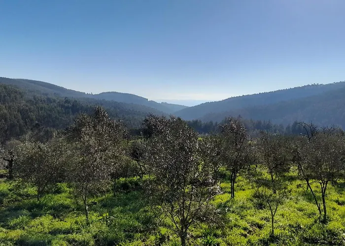 Leonardo Vale de Carneiro